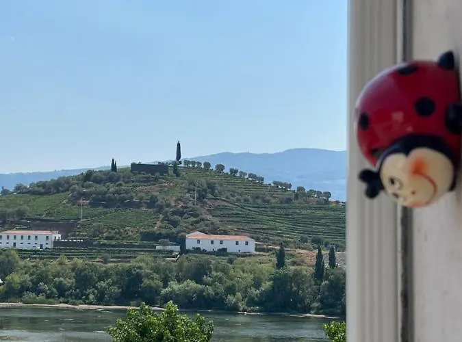 Joaninha Douro 2 Peso da Régua